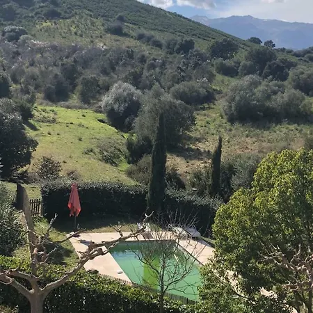 Apartment Oliera 2 *